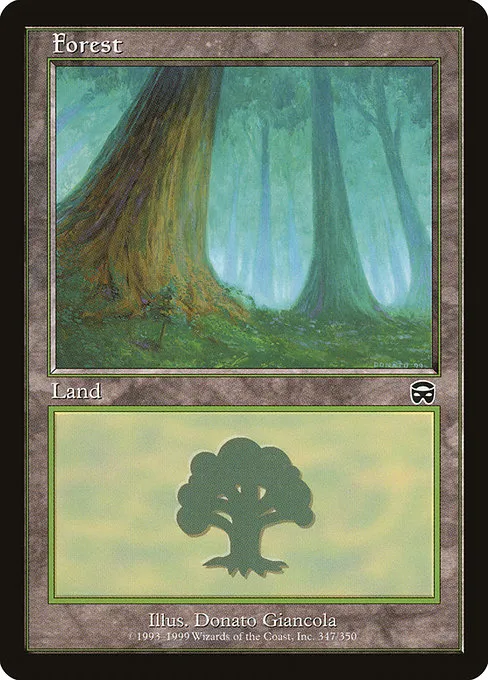 Forest - L (347)