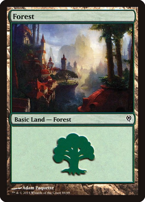 Forest