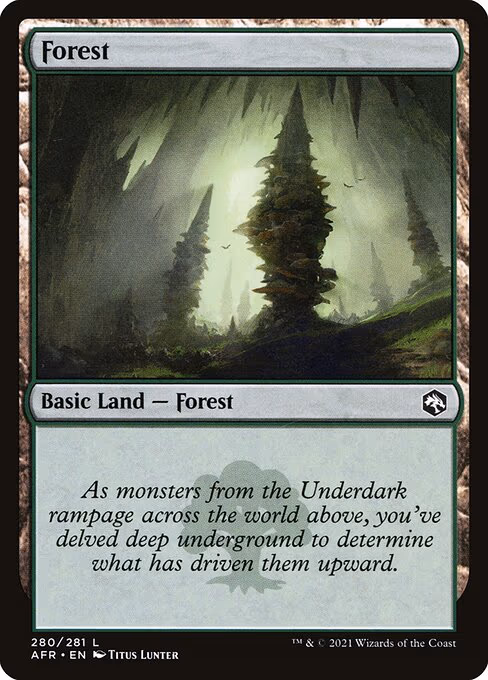 Forest - L (280)