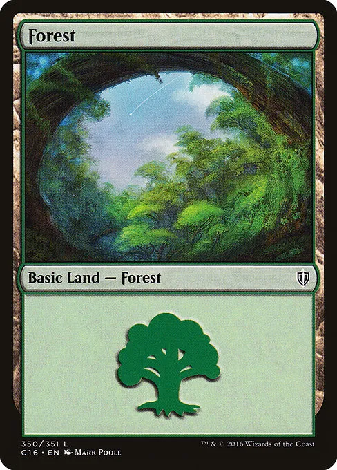 Forest - L (350)