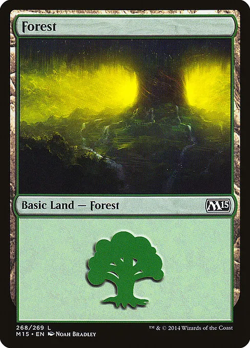Forest - L (268)