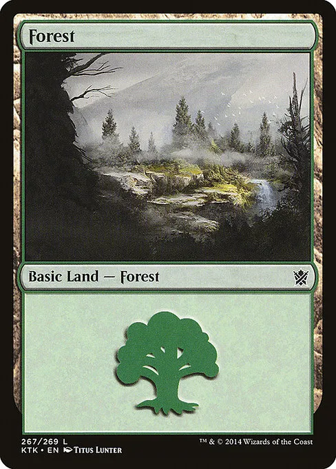Forest - L (267)