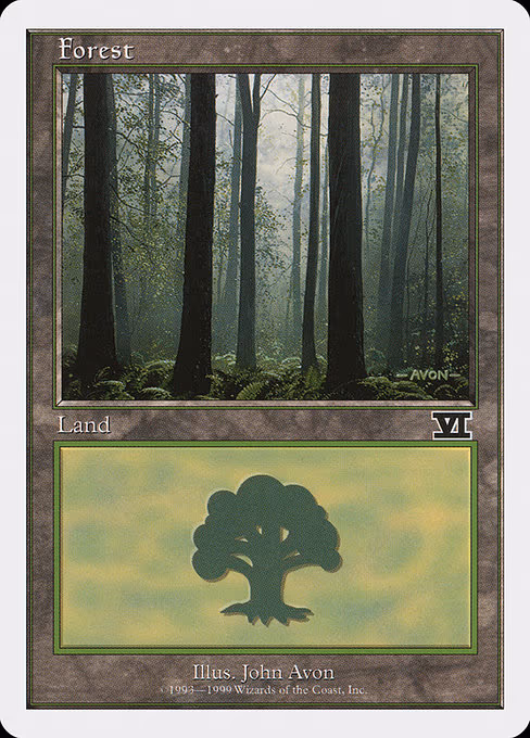 Forest - L