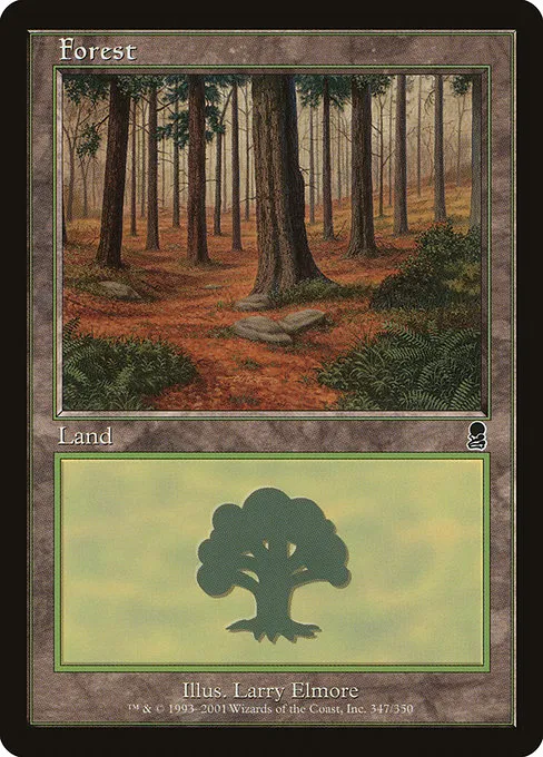 Forest - L (347)