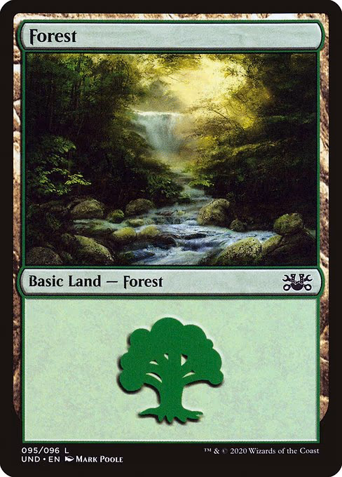 Forest - L (95)