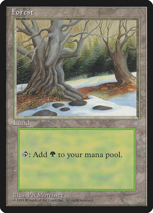 Forest - L (330)