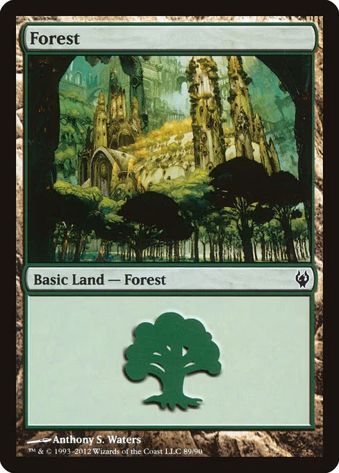 Forest