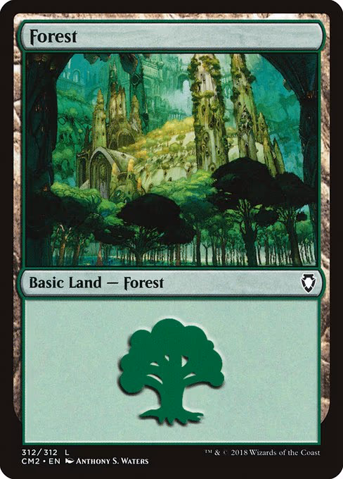 Forest - L (312)