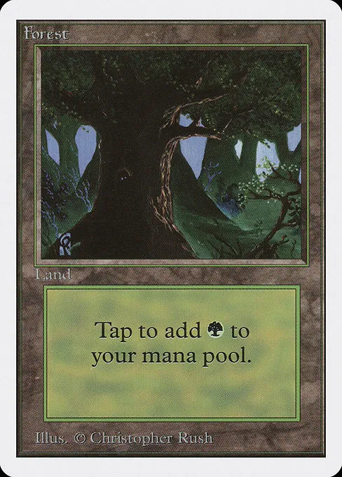 Forest - L