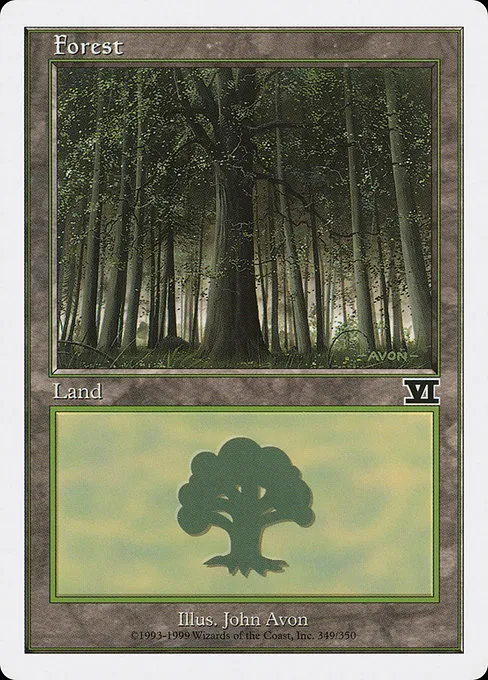 Forest - L (349)