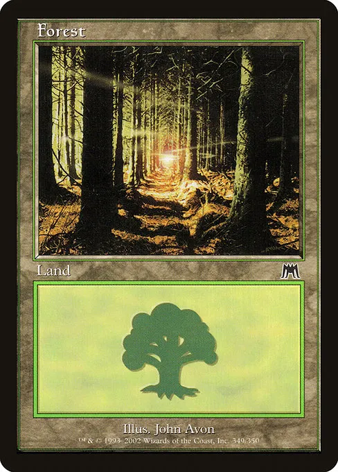 Forest - L (349)
