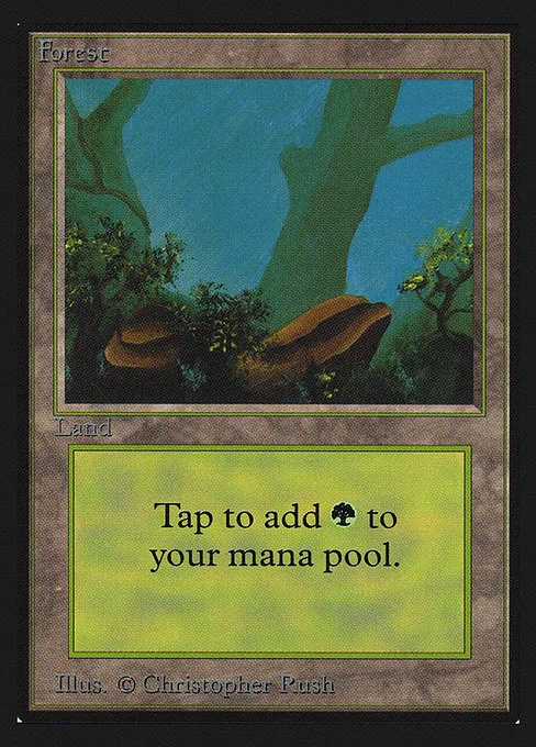 Forest - L (280)