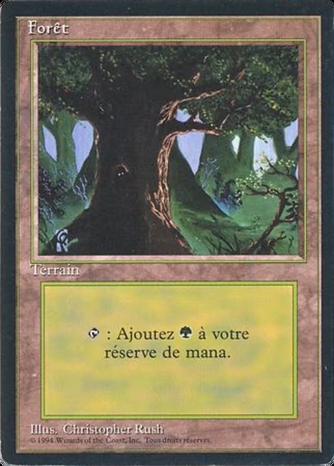 Forest - L (285)