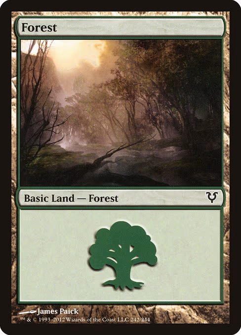 Forest - L (242)