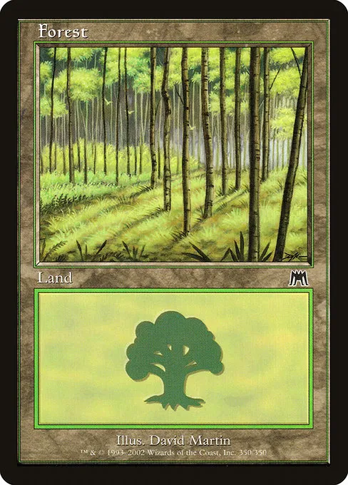 Forest - L (350)