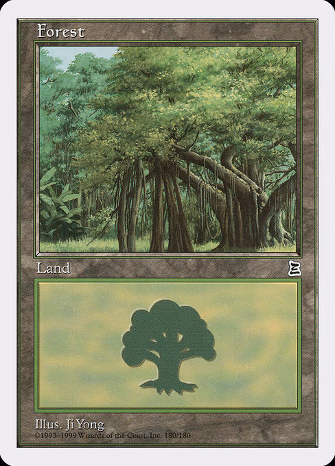 Forest - L (180)