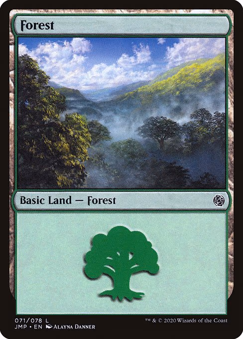 Forest - L (71)