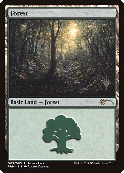 Forest - P (5)