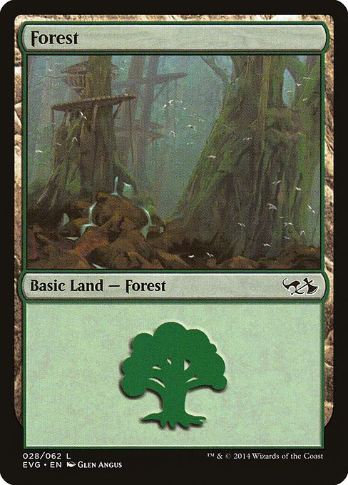 Forest - L (28)