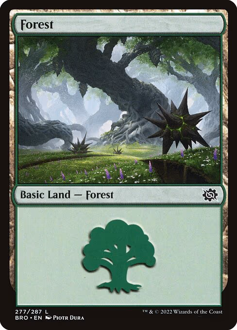 Forest - L (277)