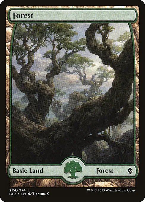 Forest - L (274)