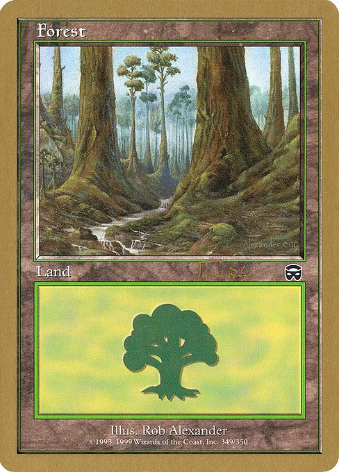 Forest (349) - 2001 Jan Tomcani