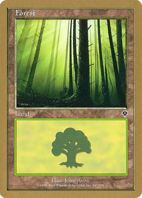 Forest (347) - 2001 Jan Tomcani