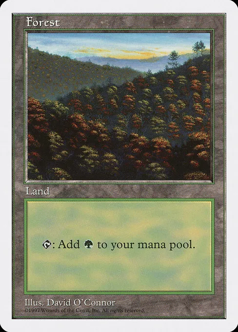 Forest - L (448)