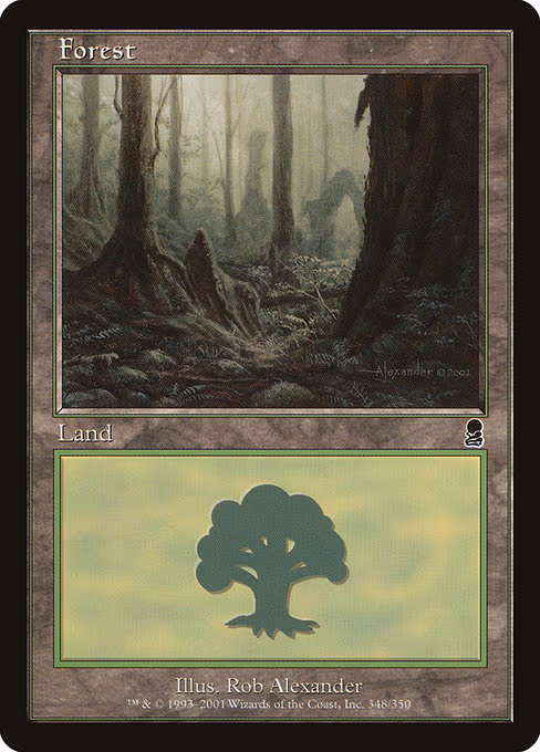 Forest - L (348)