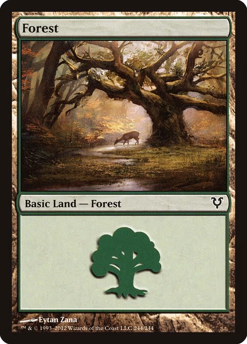 Forest - L (244)