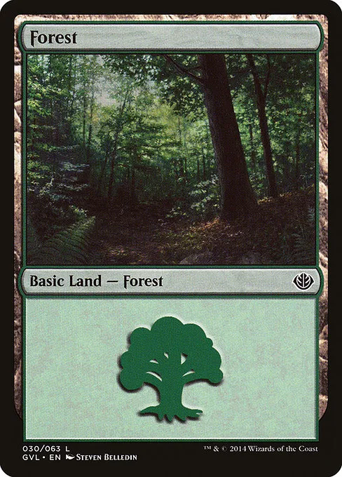Forest - L (30)