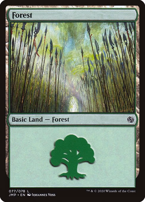 Forest - L (77)