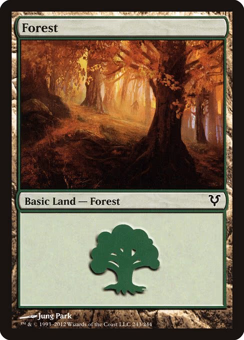 Forest - L (243)