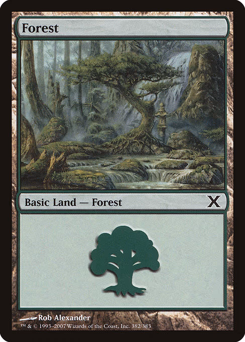 Forest - L (382)