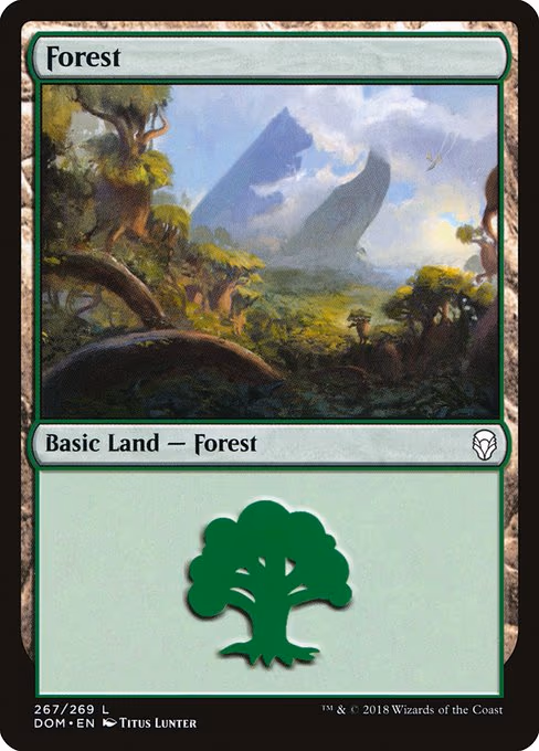 Forest - L (267)