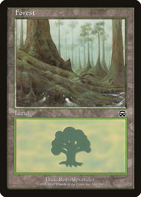 Forest - L (348)