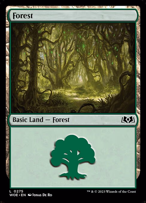 Forest - L (275)