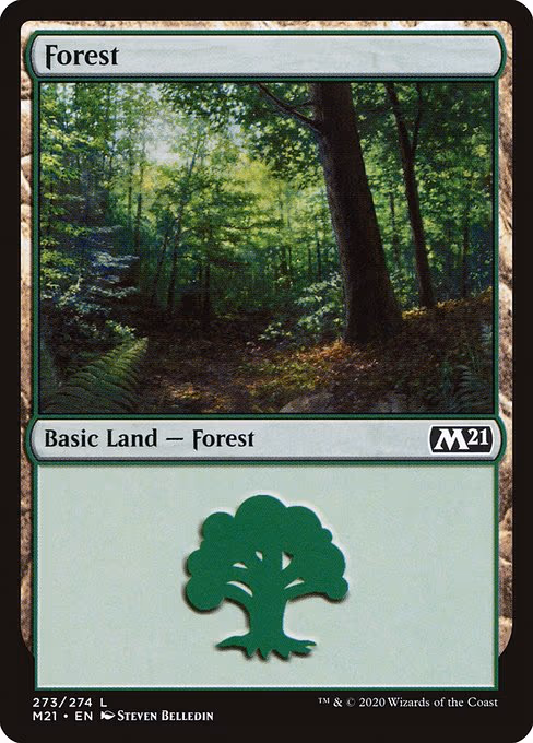 Forest - L (273)