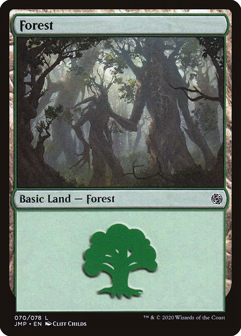 Forest - L (70)