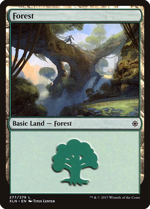 Forest - L (277)