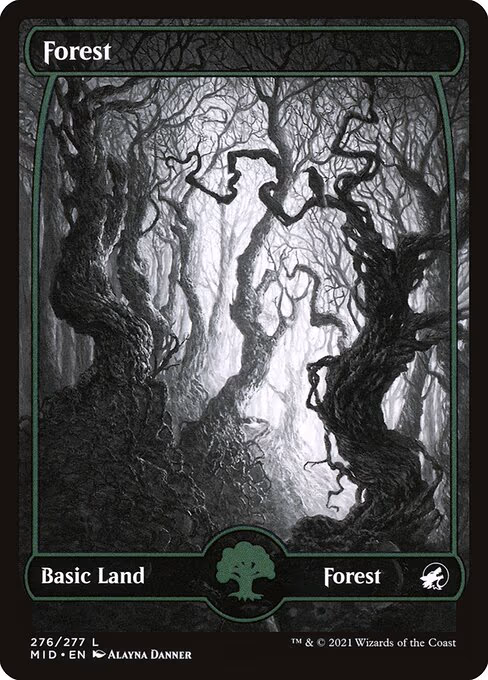 Forest - L (276)