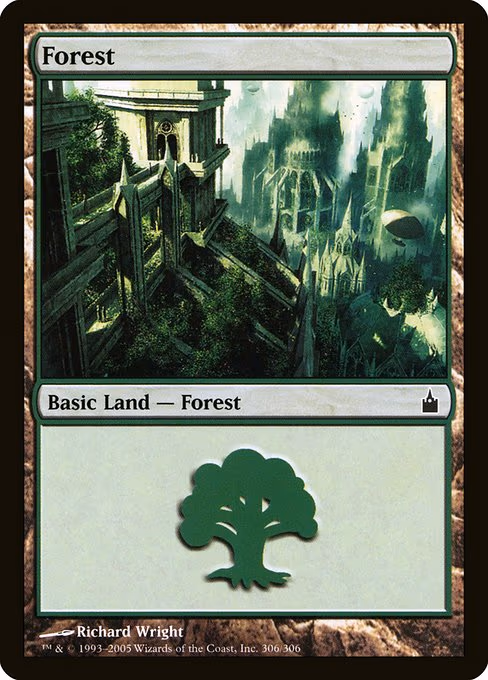 Forest - L (306)