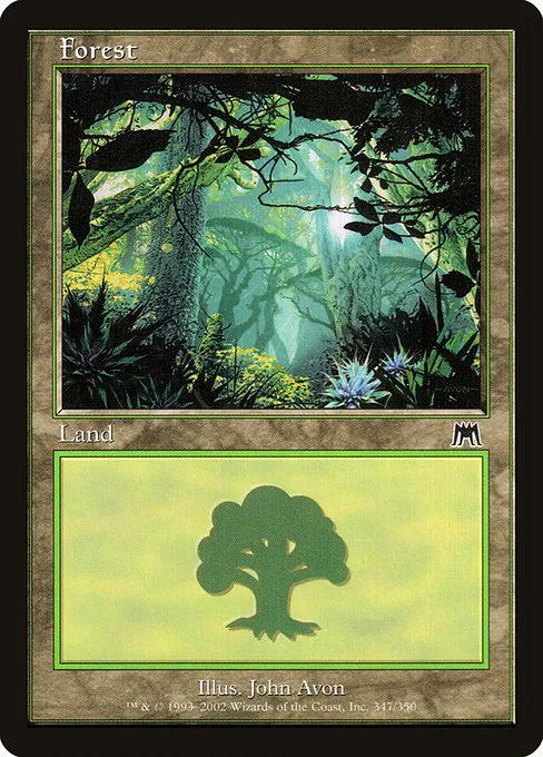 Forest - L (347)