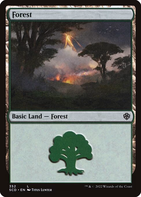 Forest - L (352)