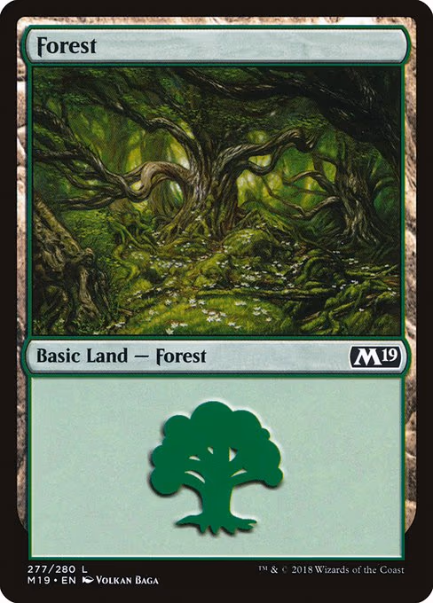 Forest - L (277)