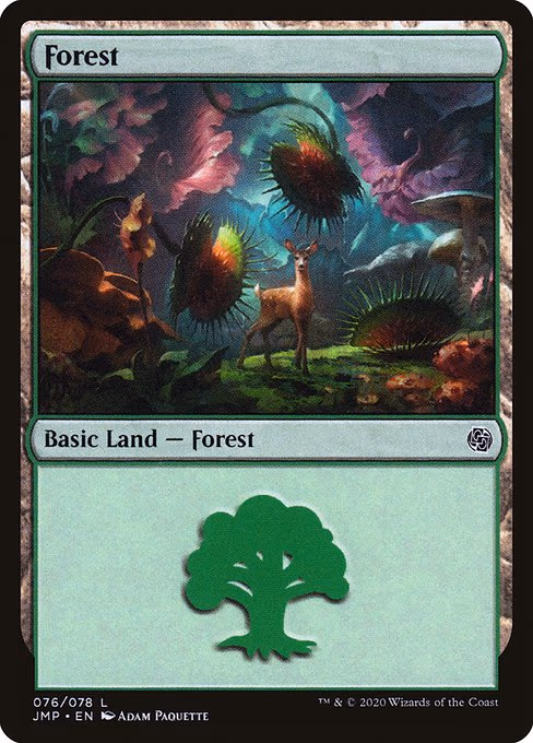Forest - L (76)