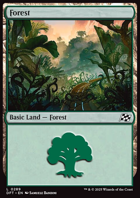Forest - L (289)