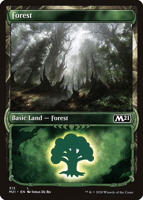 Forest - L (313)