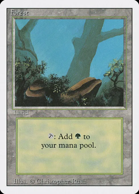 Forest - L (284)