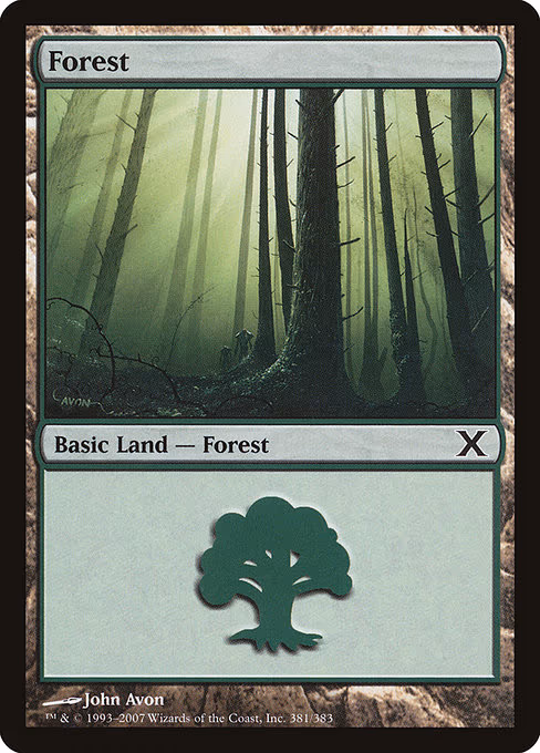 Forest - L (381)